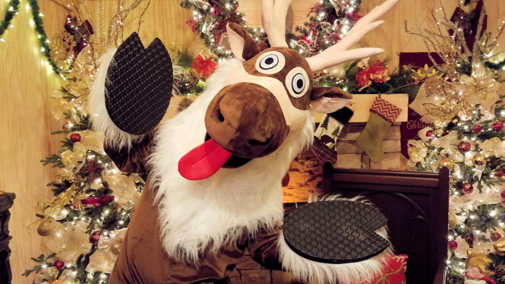 Darkwoods Christmas 2025