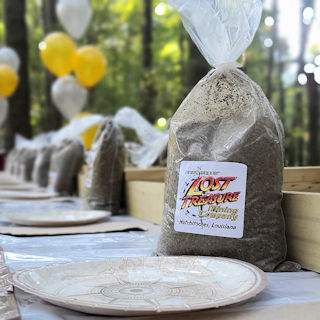 Birthday Parties at Dark Woods Adventure Park
