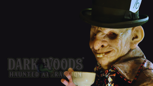 Alice's Madhouse in 3D at Dark Woods Haunted Attraction Alice's Madhouse in 3D at Dark Woods Haunted Attraction