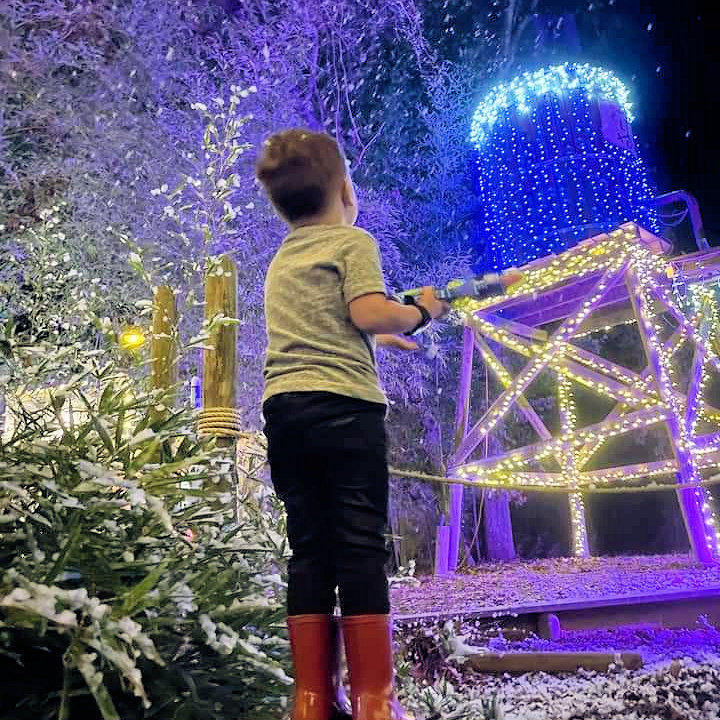 Festive Entertainment